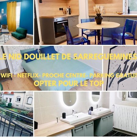 Le Nid Douillet De Sarreguemines Exterior foto